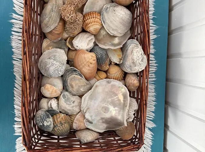 Pleno Centro Comilllas-3 Hab, 2 Banos *